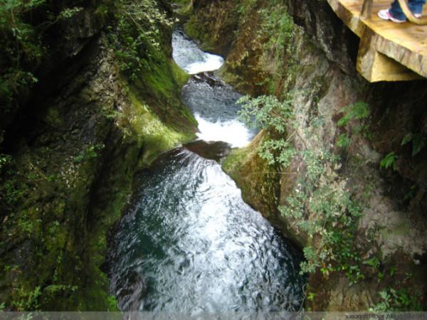 联发科天玑9300拿下终端、芯片双AI榜一